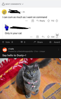 Sometimes my reddit feed generates gold through juxtaposition