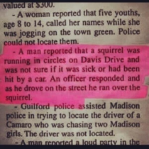 Sometimes the Police Reports are the best part of the paper