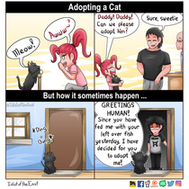 sometimes you choose to adopt a cat but sometimes a cat chooses you to adopt it