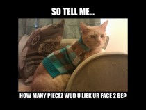 Sophisticated cat has a question 