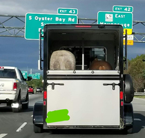 Sorry Im late I was stuck behind a couple of assholes on the highway
