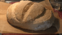 Sourdough Bread Rising