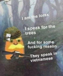 speaks in Vietnamese