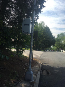 Speed cameras enhance pedestrian saf