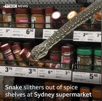 Spicy danger noodle