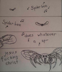 Spider BeeSpider Bee