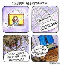 Spider on duty