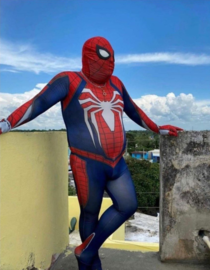 Spiderman Work From Home
