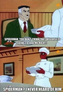 Spidermans disguise