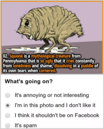 Spirit animal