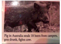 Spirit animals dont exi-