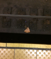 Spotted a celebrity in the Union Square subway station