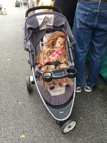 Spotted a sleepy little wookie at the farmers market
