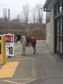 Spotted at a Dollar General close to my hometown