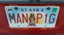 Spotted in Juneau Alaska  