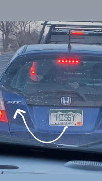Spotted in traffic