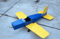 Squirrel hijacks model plane