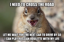 Squirrel Logic