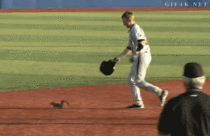 Squirrel on the loose in a baseball game