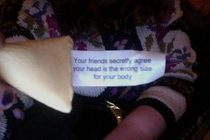 St talking fortune cookie