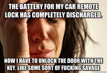 st world car problems