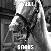 Stable Genius