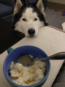 Staring into the eyes of a professional beggar with homemade ice cream