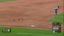 Statcast on the birds