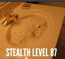 Stealth level 