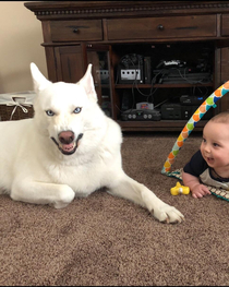 Step  try to take cute pic of dog and baby Step  dog sneezes during pic Step  accidentally capture my dogs inner demon and my son thinks its funny