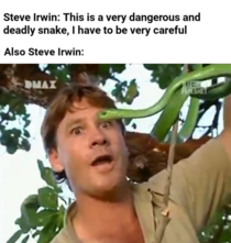 Steve  Legend