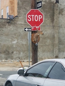 Stop sign in our ghetto