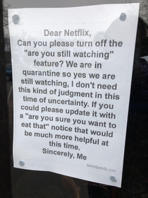 Store poster doesnt like Netflix