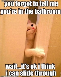 Story of my life