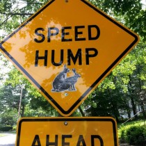 Street sign in my town