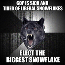 Stupid Snowflakes