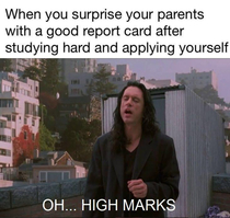 Such a wiseau man