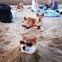 Such cool Very relax Much sand
