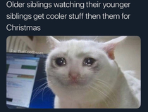 Sucks being the older sibling