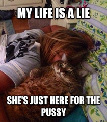 Sudden Clarity Cat on her relationship status