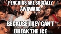 Sudden Clarity Clarence on Socially Awkward Penguin