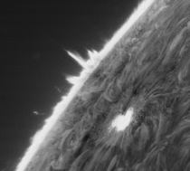 Sun - I captured this huge sunspot which is the size of  Earths from my house with an h-alpha filter and a telescope the atmosphere of the sun is so violent watch the plasma fall back by the enormous gravity of the sun