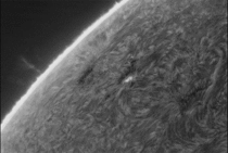 Sun - Solar Surface  Activity - captured with my mm telescope from my back yard