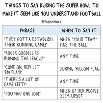 Super Bowl guide