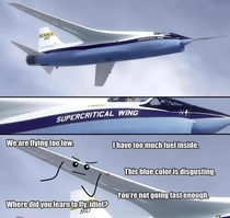 Supercritical wing