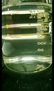 Supersaturated Sodium acetate crystallization