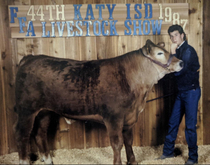Sure youre cool but are you  Katy ISD FFA Livestock Show cool