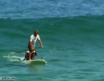 Surfing with Two Dogs