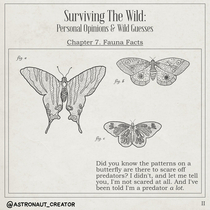 Surviving The Wild - II