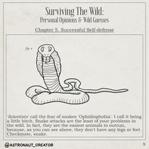 Surviving The Wild - X